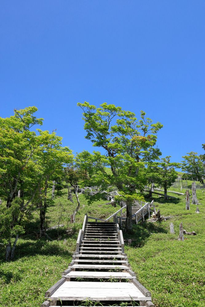 大台ケ原の画像 - 3枚目