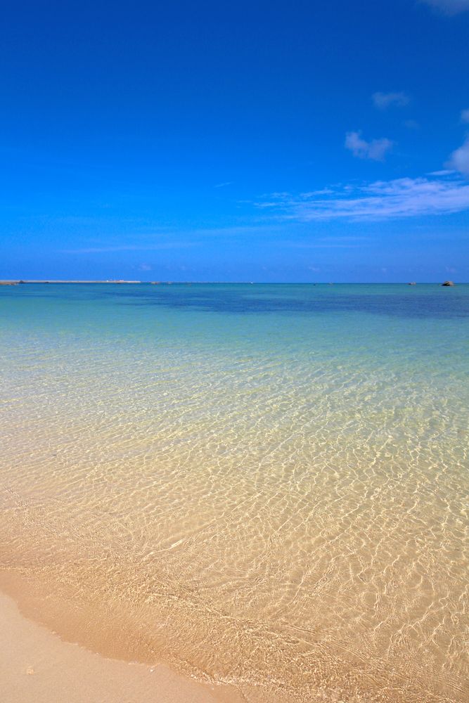 佐和田の浜の画像 - 3枚目
