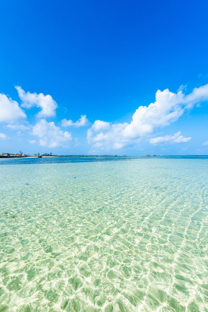 佐和田の浜の画像 - 4枚目