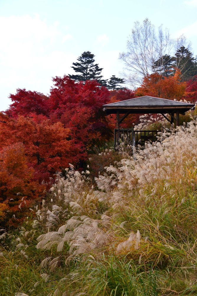 三峯神社の画像 - 5枚目