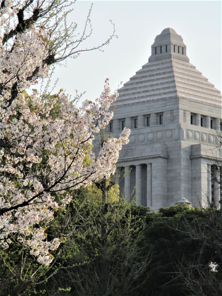 国会議事堂の画像 - 3枚目