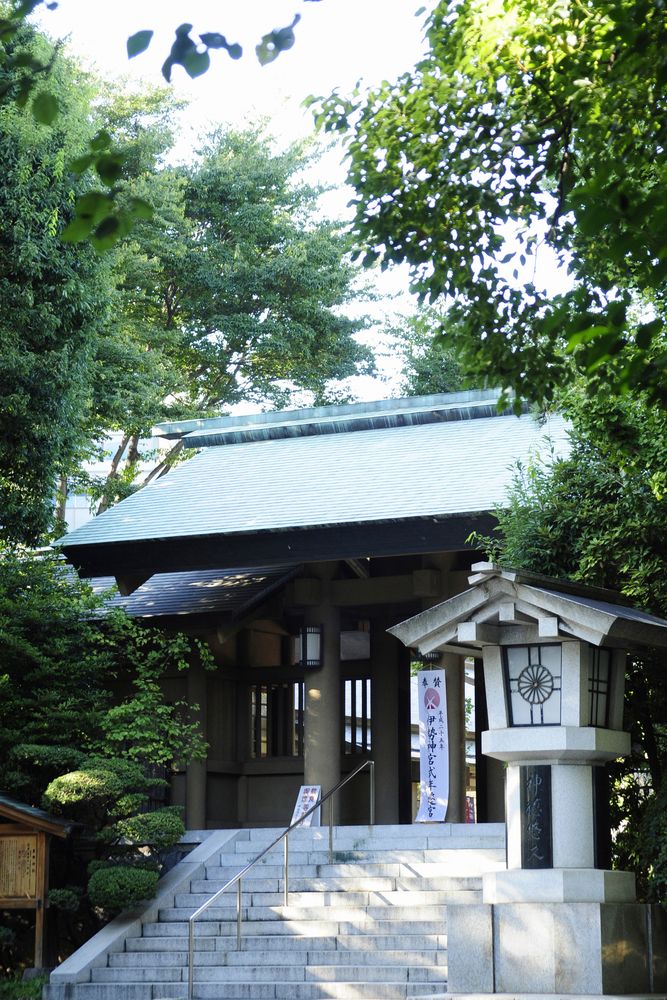 東郷神社の画像 - 4枚目
