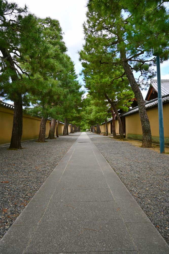 大徳寺の画像 - 3枚目