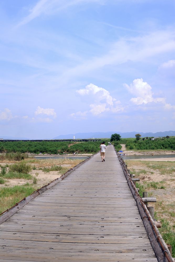 上津屋橋(流れ橋)の画像 - 2枚目