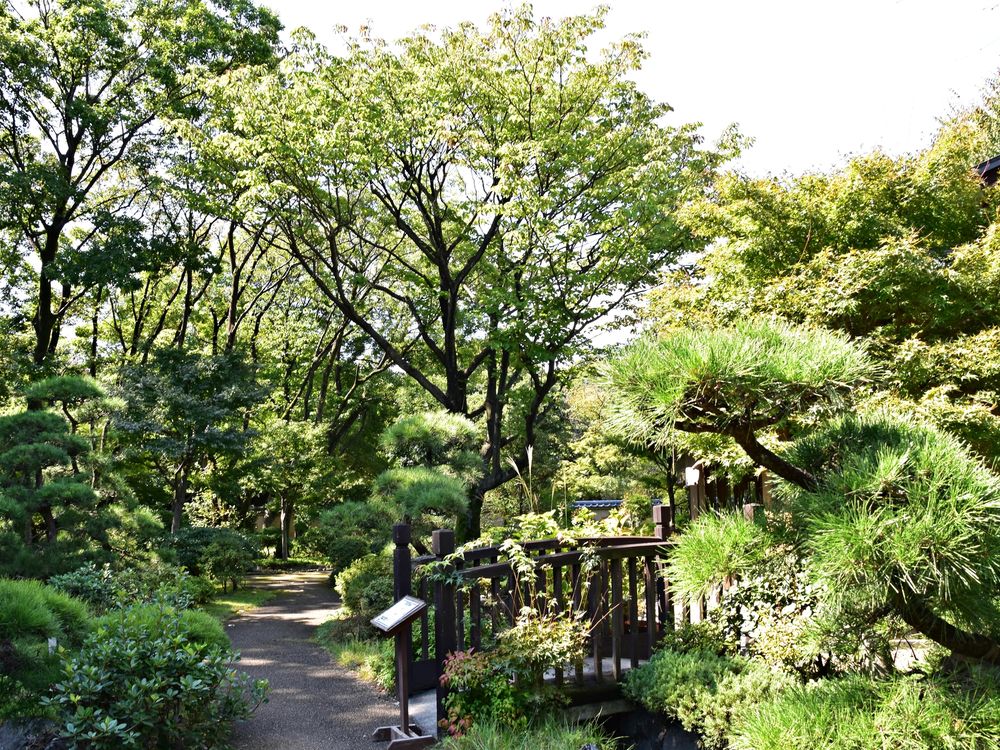 所沢航空記念公園の画像 - 4枚目