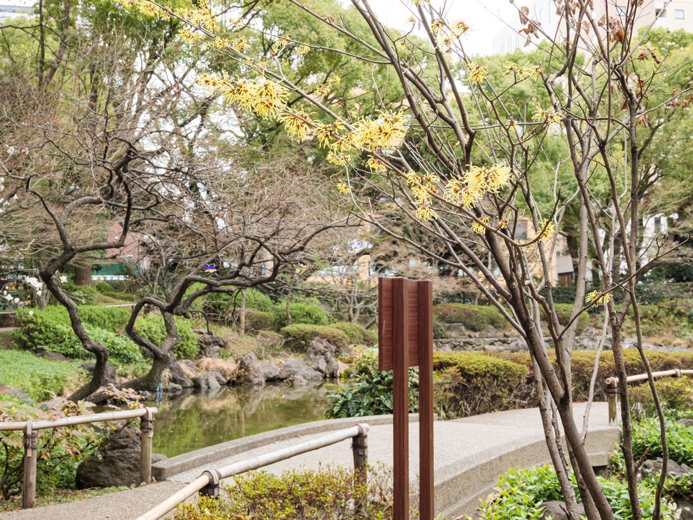 横浜公園の画像 - 2枚目