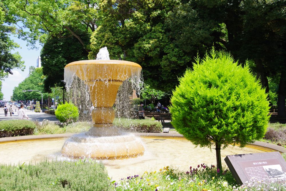 横浜公園