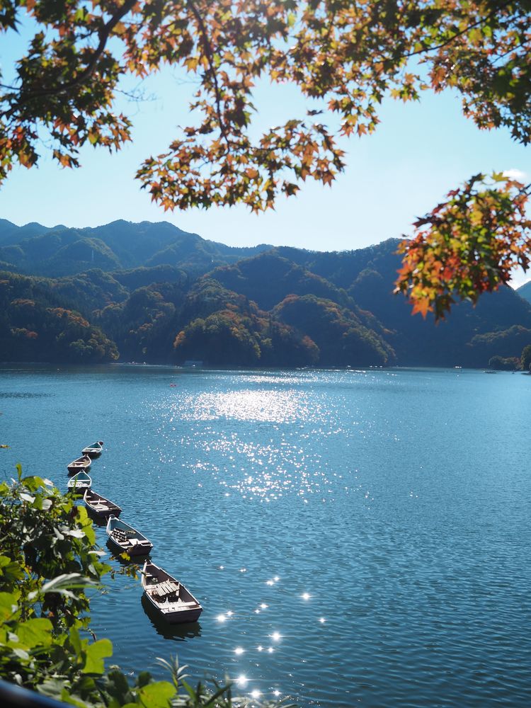 さがみ湖 MORI MORIの画像 - 3枚目