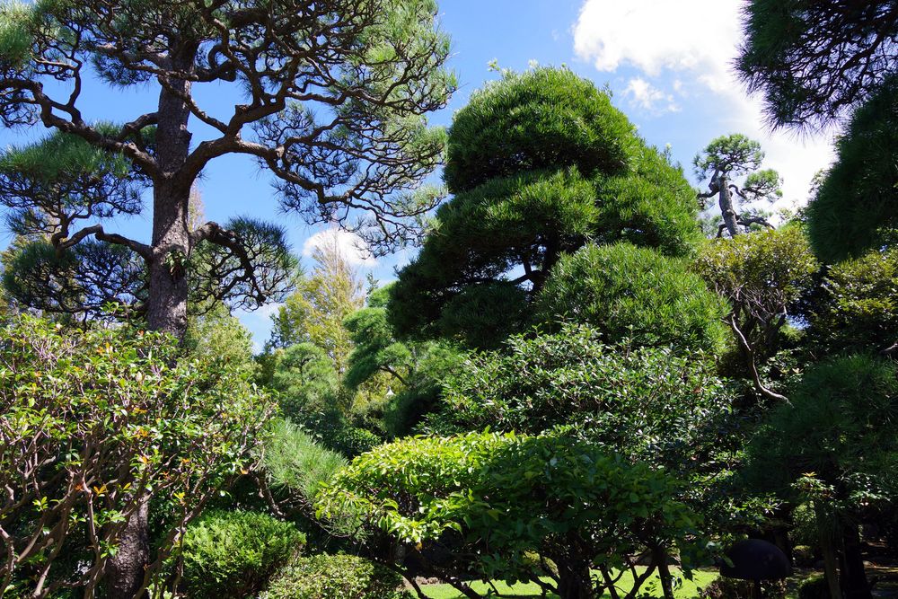 葛飾区 山本亭の画像 - 4枚目