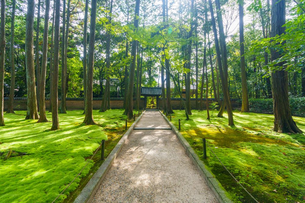 唐招提寺の画像 - 6枚目