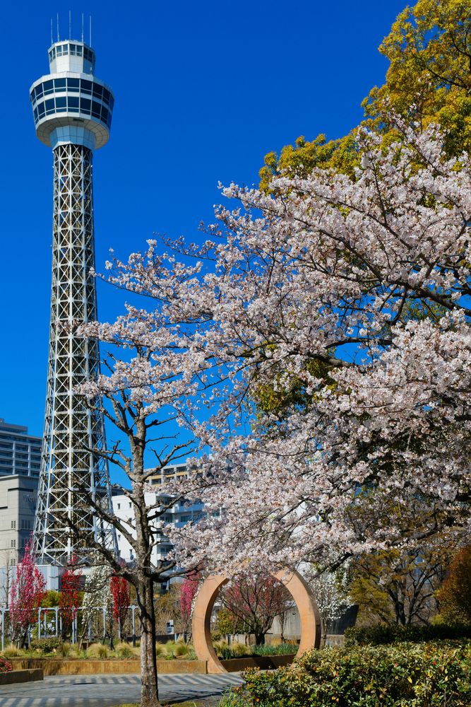 山下公園の画像 - 4枚目