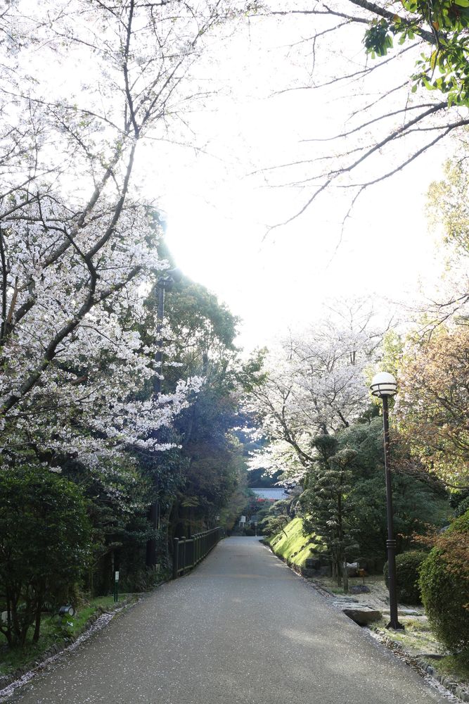 萬翠荘の画像 - 3枚目