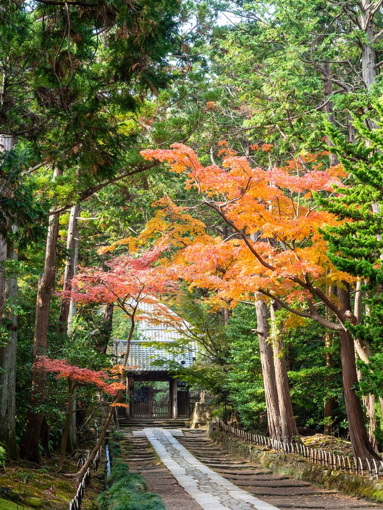 寿福寺の画像 - 5枚目