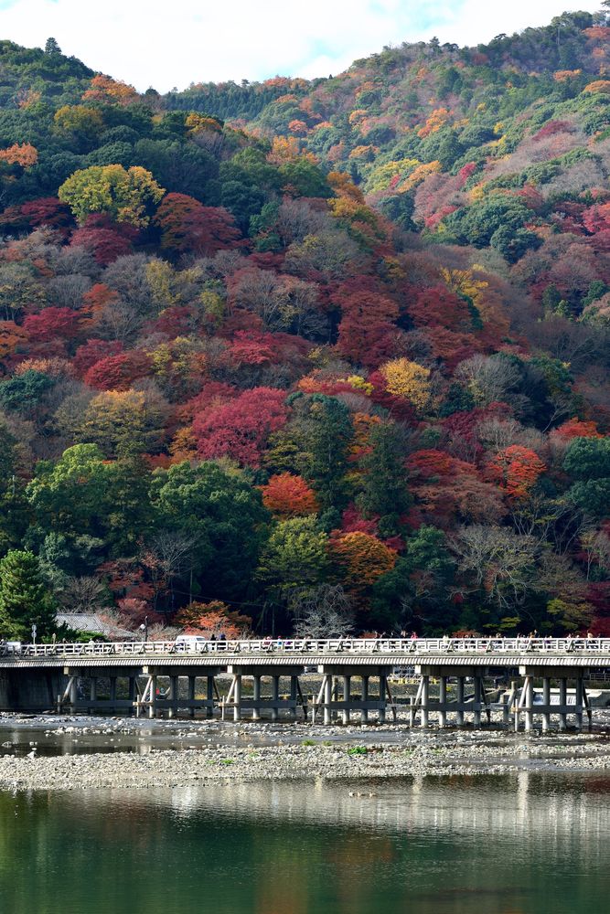 渡月橋の画像 - 2枚目