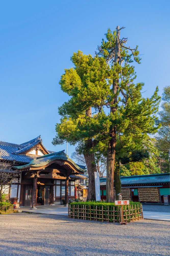 大國魂神社の画像 - 2枚目