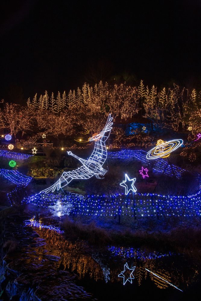 国営備北丘陵公園の画像 - 4枚目