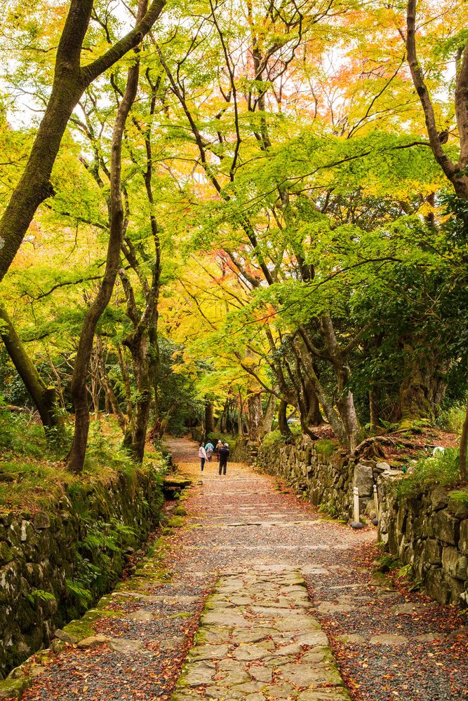 百済寺の画像 - 2枚目
