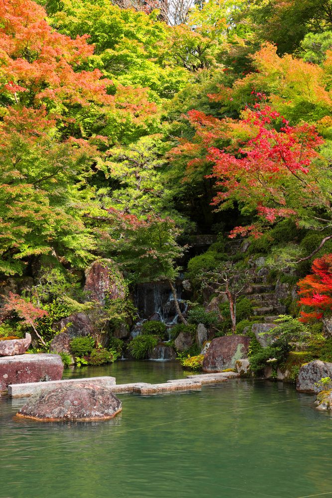 百済寺の画像 - 4枚目
