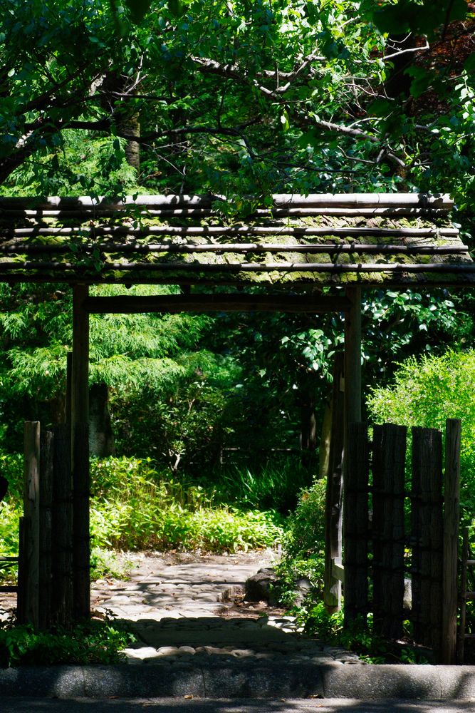 県立相模原公園の画像 - 3枚目