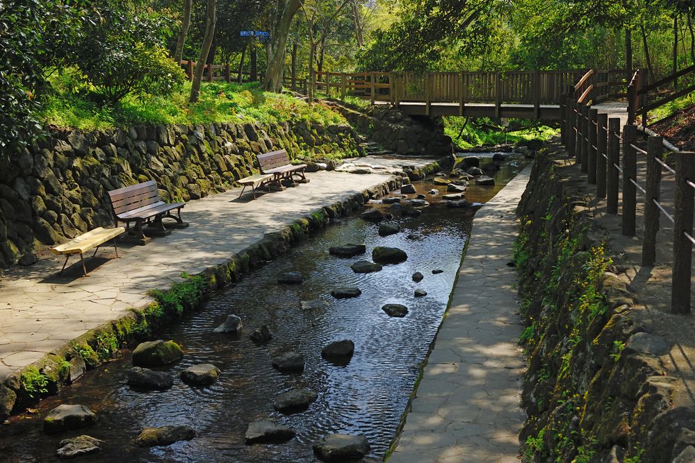 柿田川湧水の画像 - 3枚目