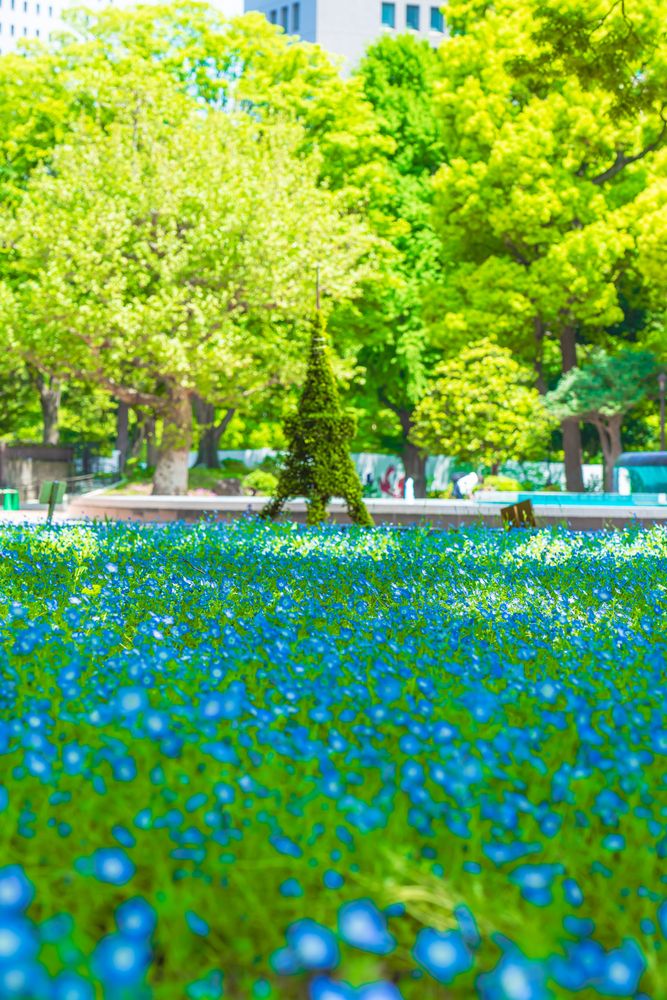日比谷公園の画像 - 3枚目
