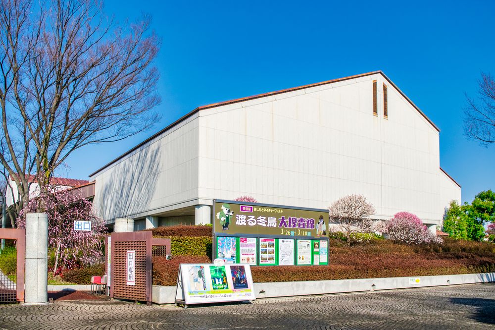 府中市郷土の森博物館の画像 - 6枚目