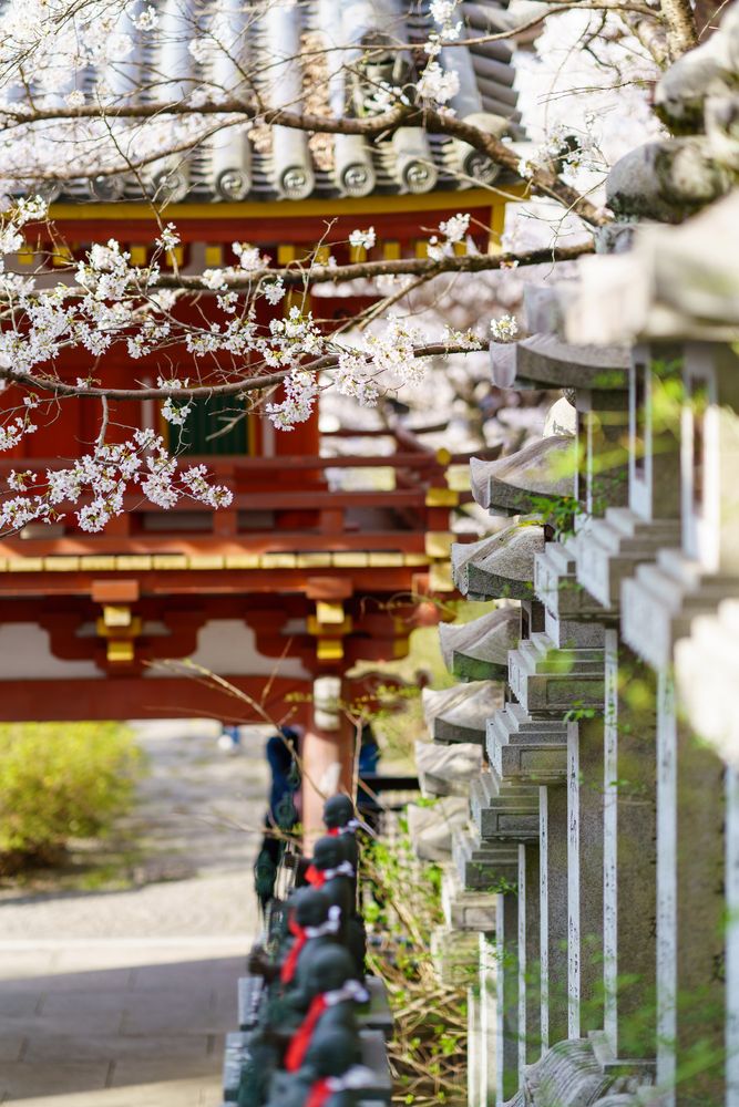 壷阪寺の画像 - 4枚目