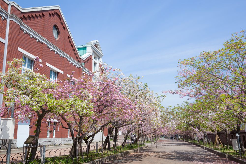 造幣博物館の画像 - 4枚目