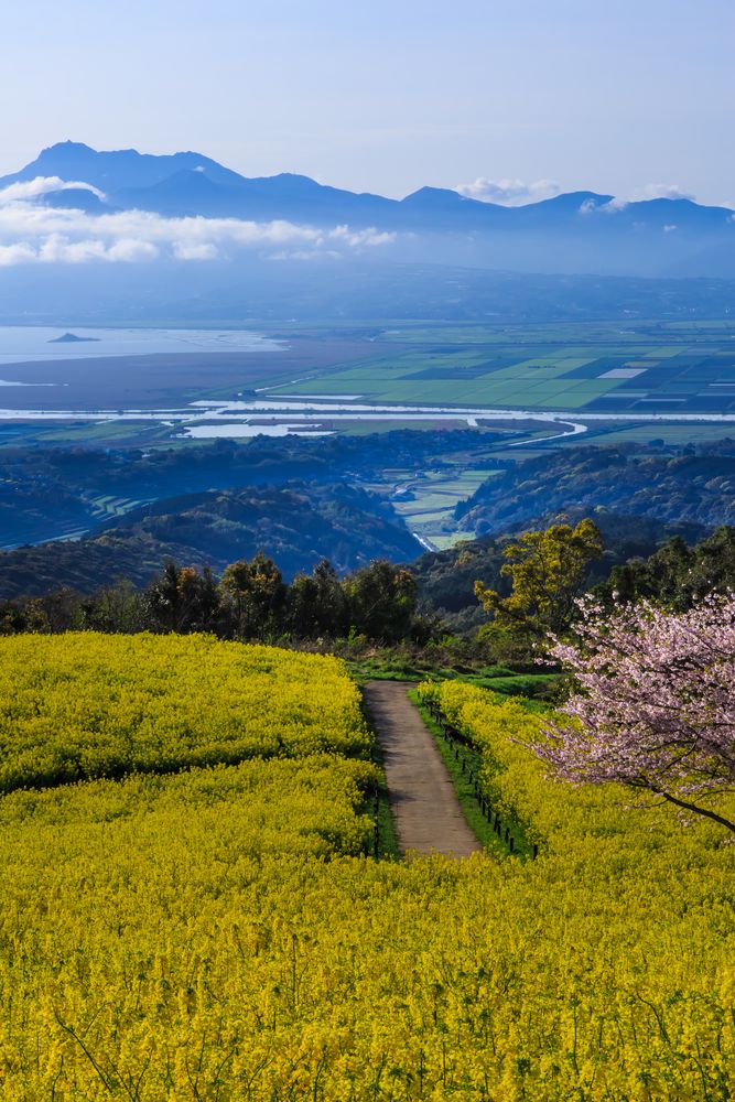 白木峰高原の画像 - 2枚目