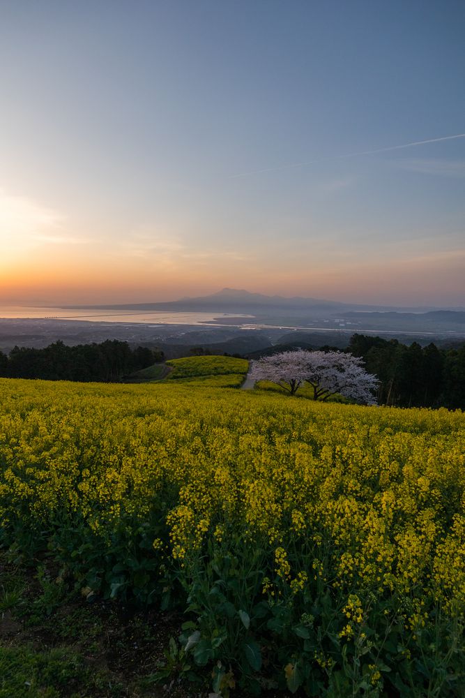 白木峰高原の画像 - 5枚目