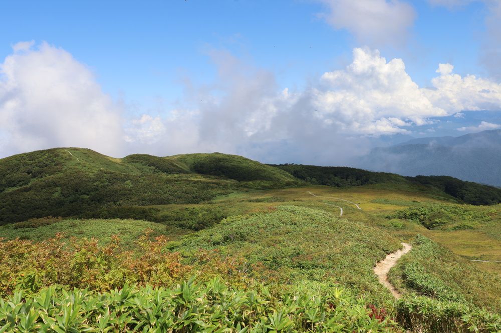 白木峰高原の画像 - 7枚目