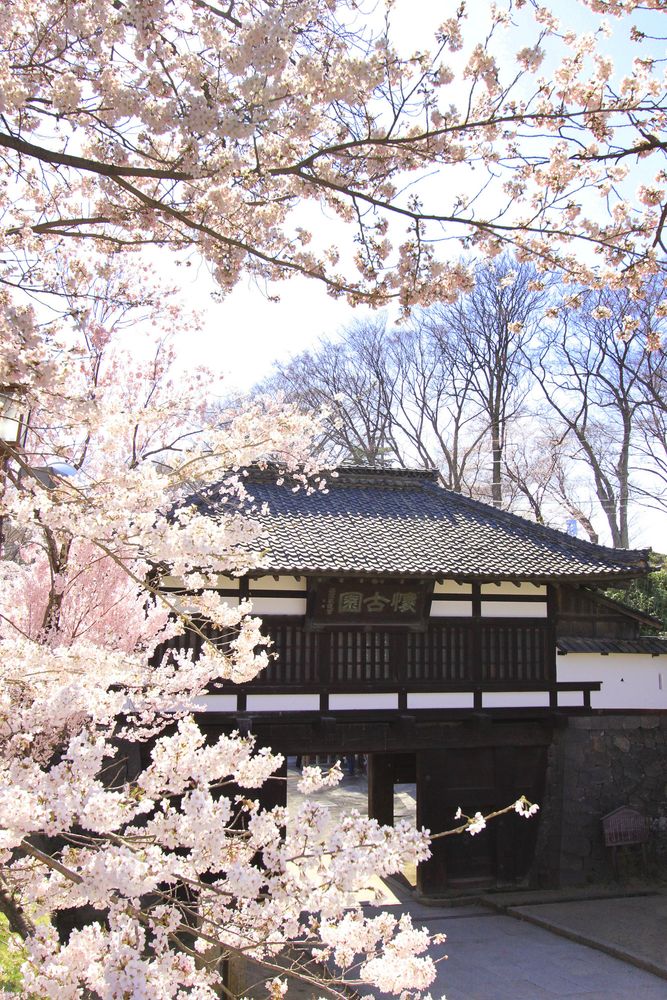 小諸城址 懐古園の画像 - 2枚目