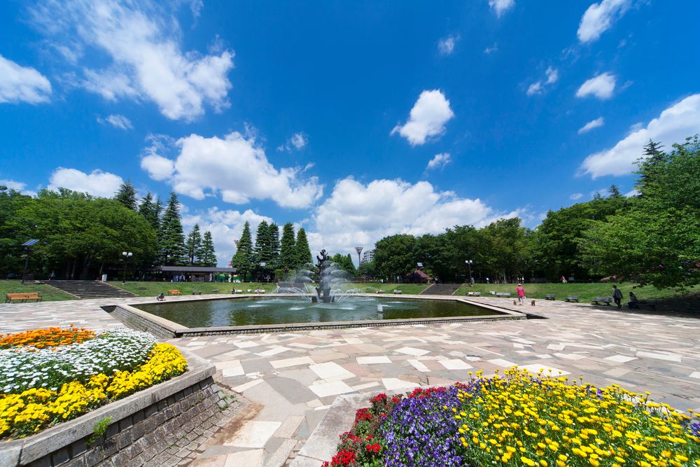 世田谷公園の画像 - 2枚目