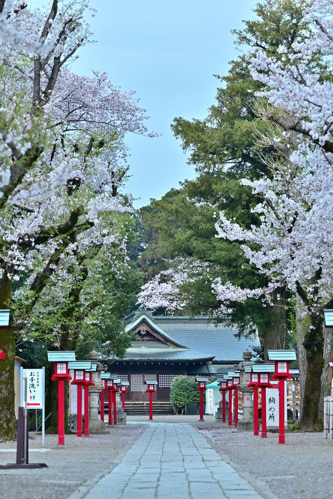 鷲宮神社の画像 - 4枚目