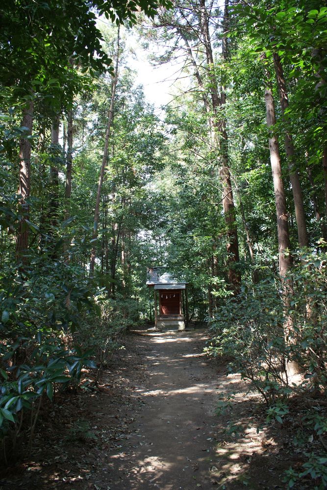 鷲宮神社の画像 - 6枚目