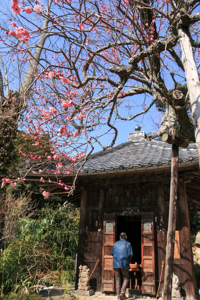 瑞泉寺の画像 - 2枚目