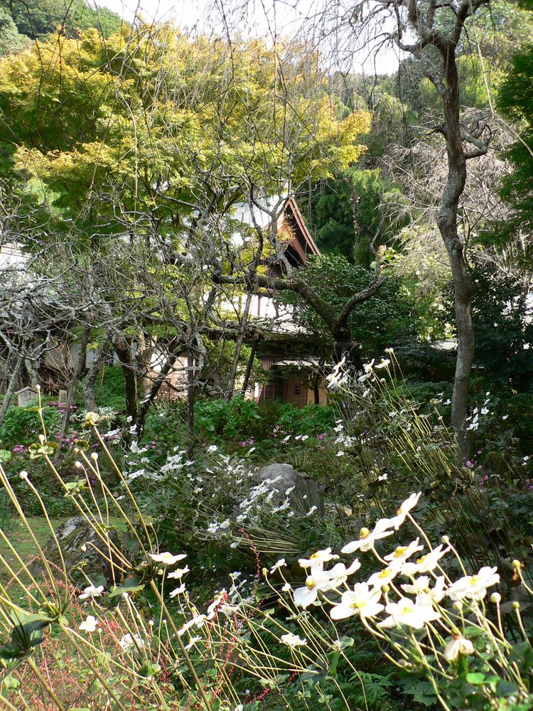 瑞泉寺の画像 - 5枚目