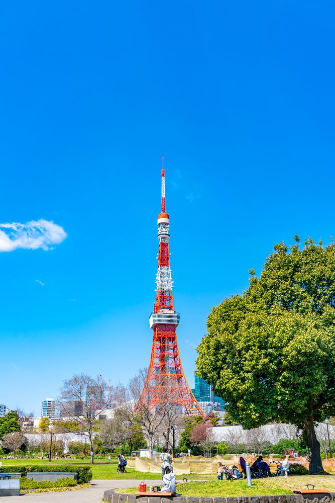 東京タワーの画像 - 4枚目