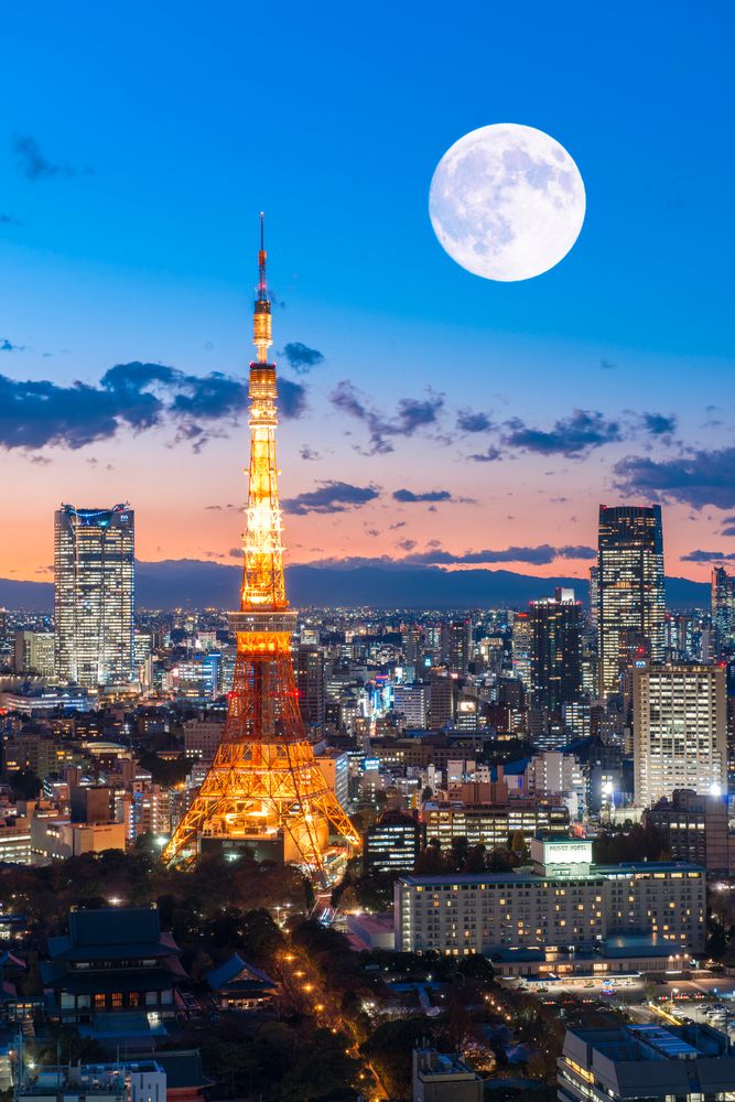 東京タワーの画像 - 5枚目