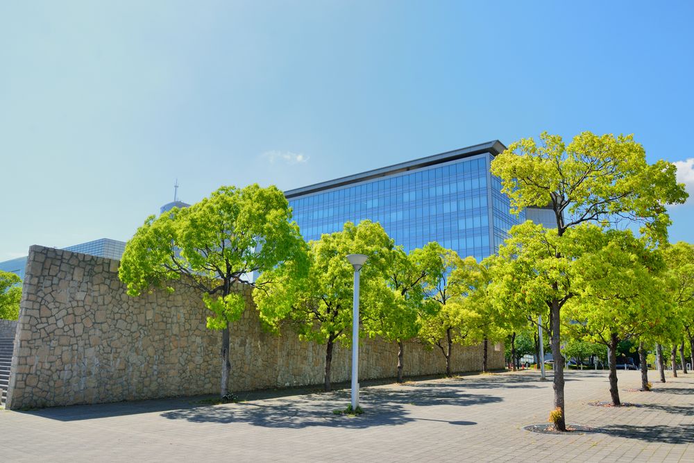 兵庫県立美術館の画像 - 2枚目