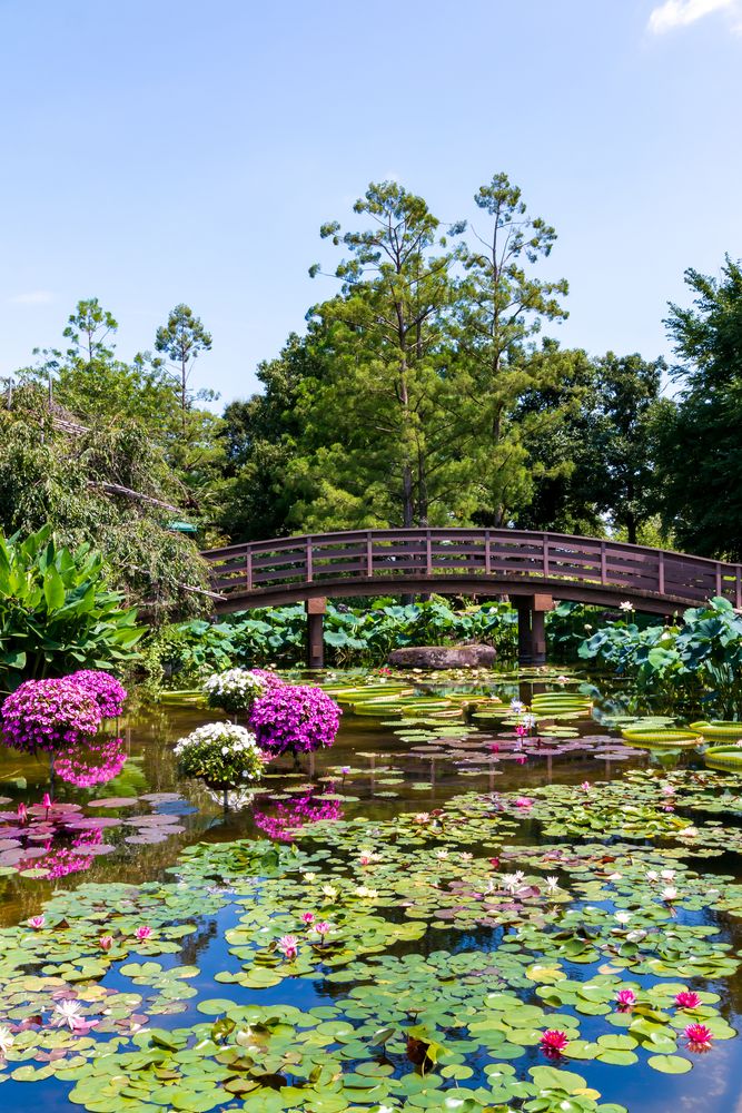 草津市立水生植物公園みずの森】の周辺スポット・アクセス・口コミ