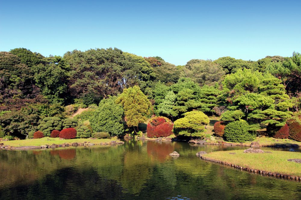 小石川植物園の画像 - 2枚目