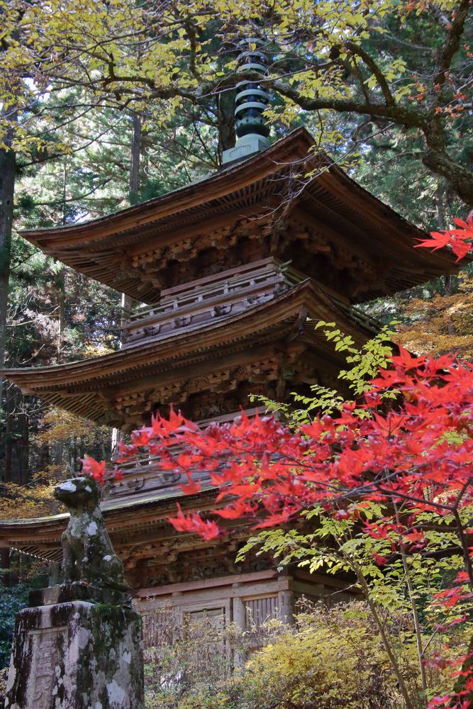 光前寺の画像 - 3枚目