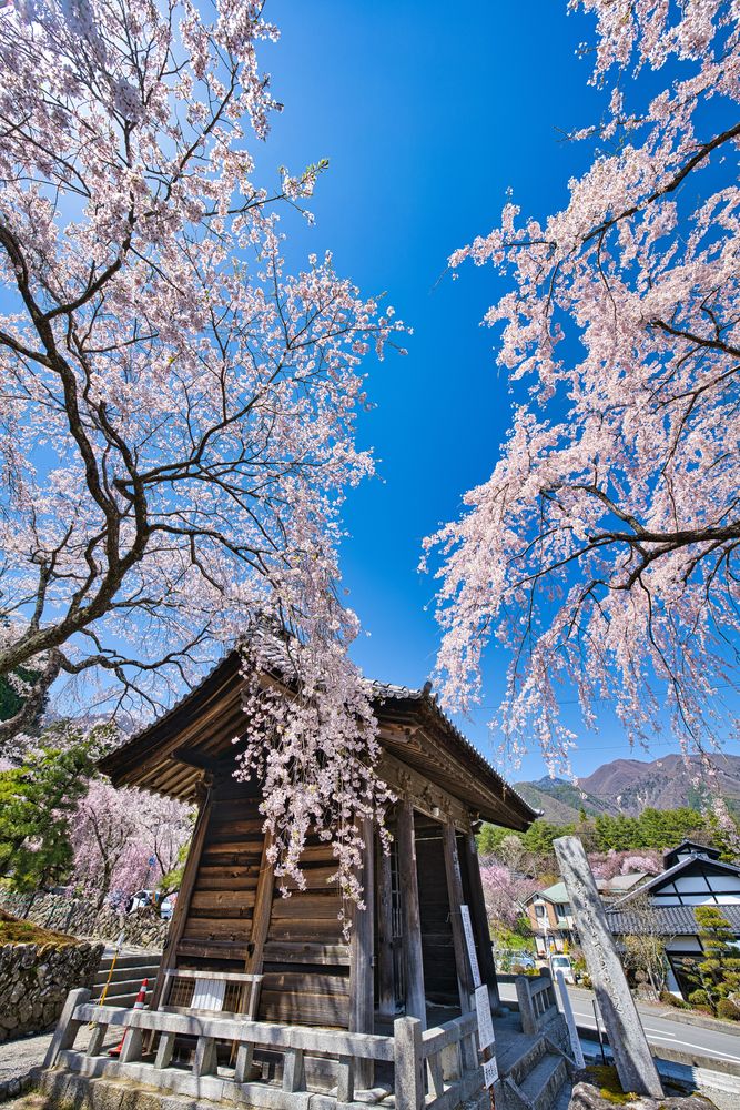 光前寺の画像 - 4枚目