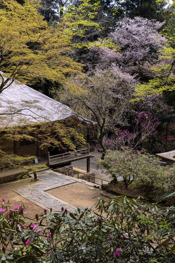 室生寺の画像 - 4枚目