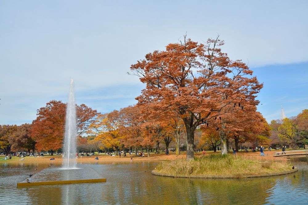 代々木公園の画像 - 2枚目