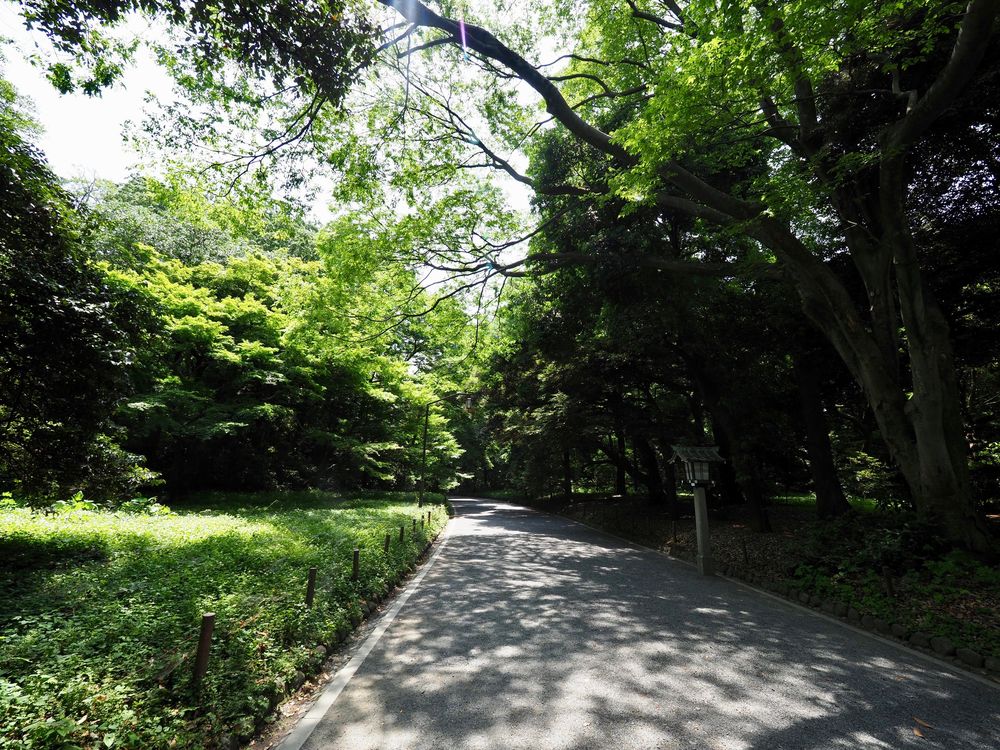 代々木公園の画像 - 3枚目