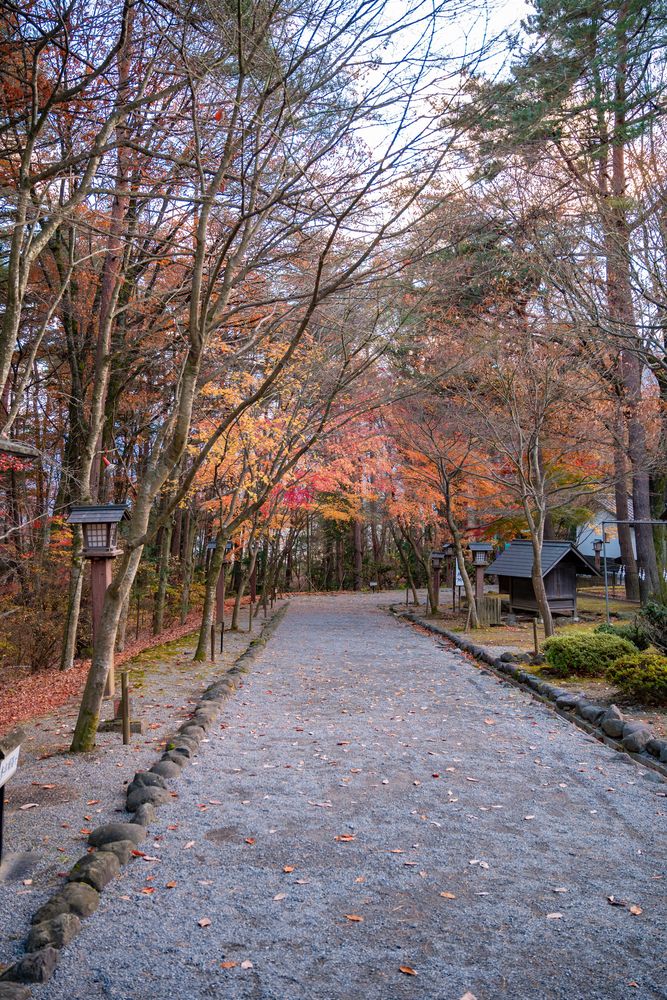 身曾岐神社の画像 - 9枚目