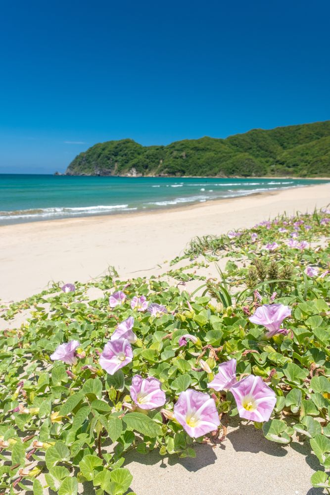 浦富海岸の画像 - 3枚目