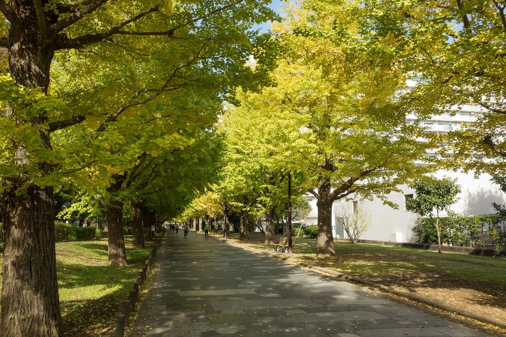 光が丘公園の画像 - 4枚目